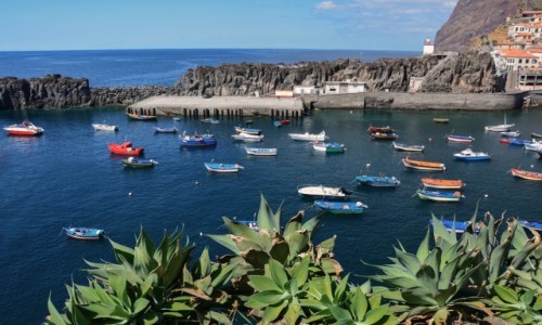 Zdjecie PORTUGALIA / Madera / Camara de Lobos / Camara de Lobos