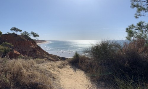 Zdjcie PORTUGALIA / Algarve  / Playa Falesia  / Portugalskie klify 