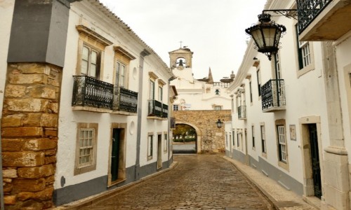 Zdjcie PORTUGALIA / poudnie Portugalii / Albufeira / Bociany