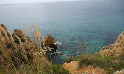 Zdjecie PORTUGALIA / Algarve / okolice Lagos / Algarve
