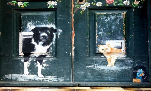 Zdjęcie PORTUGALIA / Madera / Funchal Zona Velha / Sztuka otwartych drzwi