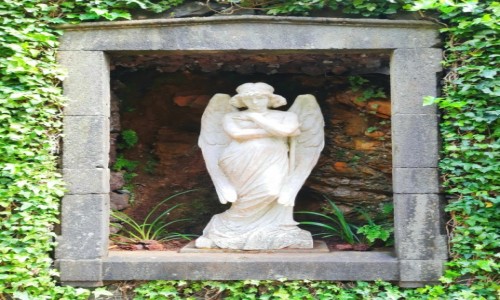 Zdjcie PORTUGALIA / Madera  / Funchal Monte Palace / W alejce z anioami
