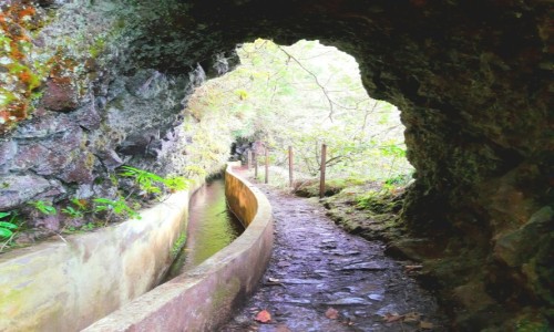 Zdjęcie PORTUGALIA / Madera / Riberio Frio / Levada do Furado, skalna brama