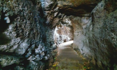 Zdjęcie PORTUGALIA / Madera / Riberio Frio / Levada do Furado tunel