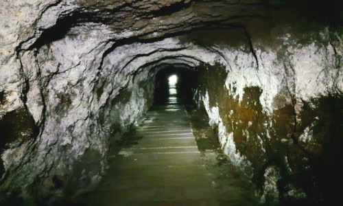 Zdjecie PORTUGALIA / Madera / Ginjas / Levada Fajã do Rodrigues, tunel
