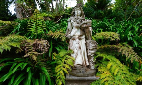 Zdjecie PORTUGALIA / Madera / Funchal Monte Palace / Spotkanie