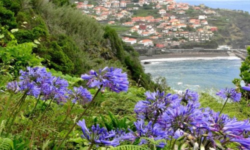Zdjcie PORTUGALIA / Madera / . / Gdzie na zielonej Maderze...