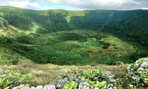 Zdjcie PORTUGALIA / Azory / Wyspa Faial / Caldeira do Cabeo Gordo