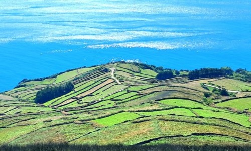 Zdjcie PORTUGALIA / Wyspa Corvo / . / Kolorowe poletka