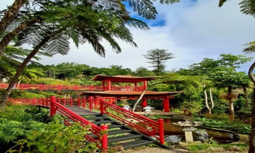 Zdjcie PORTUGALIA / Madera / Funchal / W ogrodzie japoskim