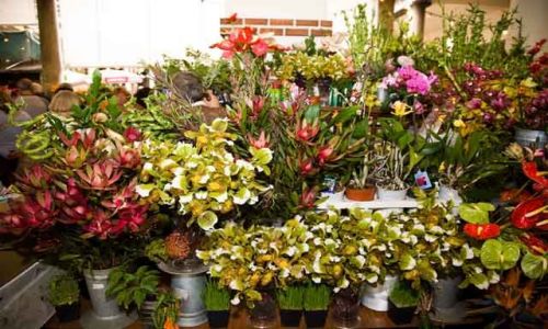 Zdjęcie PORTUGALIA / Madera / Funchal - rynek handlowy / Mercado - stoisko z kwiatami