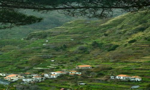 Zdjęcie PORTUGALIA / Madera / Ribeira de Machico / Pola tarasowe