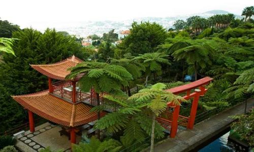 Zdjęcie PORTUGALIA / Madera / Funchal/Ogrody Monte / Monte