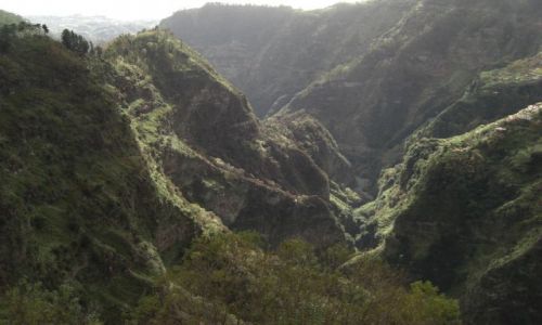 Zdjecie PORTUGALIA / brak / Madeira - Funchal / Gry 1