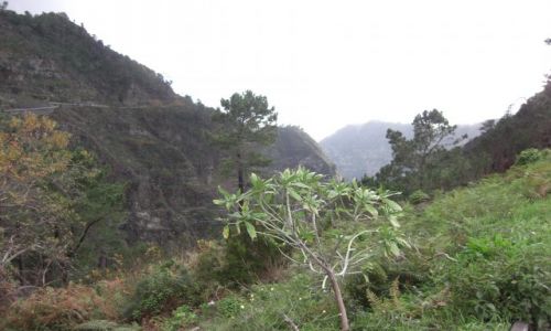 Zdjecie PORTUGALIA / brak / Madeira - Funchal / Gry 5
