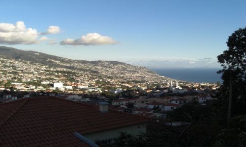 Zdjecie PORTUGALIA / brak / Madeira - Funchal / Jeszcze jedno zdjcie miasta Funchal