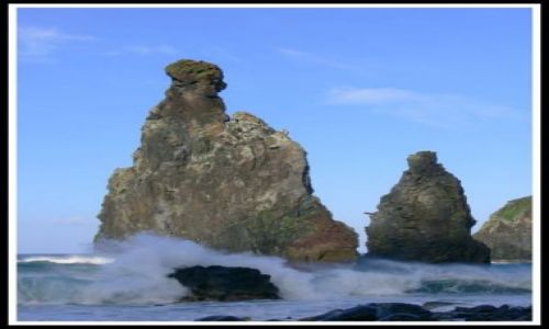 Zdjęcie PORTUGALIA / Madera / W okolicach Porto Monitz / Iglice