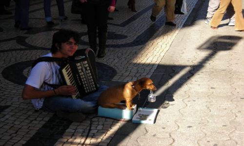 Zdjecie PORTUGALIA / oporto / Porto / .