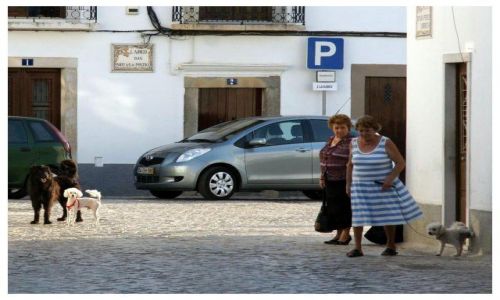 Zdjecie PORTUGALIA / Algarve / bliej nieokrelone / Niektrzy...