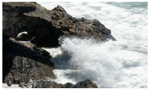 Zdjecie PORTUGALIA / Algarve / brak / Kipiel