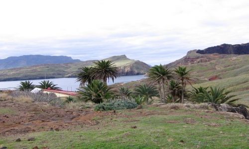 Zdjęcie PORTUGALIA / Ponta de Sao Lourenso / Ponta de Sao Lourenso / Madera