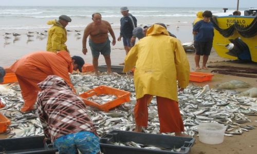 Zdj�cie PORTUGALIA / Lizbona / Wybrzeze Caparica / Rybacy