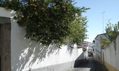 Zdjęcie PORTUGALIA / Evora / Evora / Uliczka w Evorze