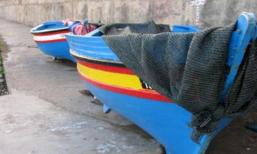 Zdjecie PORTUGALIA / Madera / Garajau / dka
