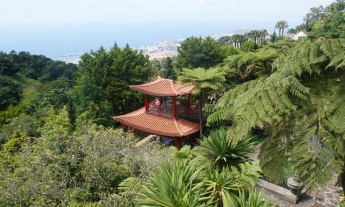 Zdjecie PORTUGALIA / - / Monte- ogrd tropikalny / MADERA