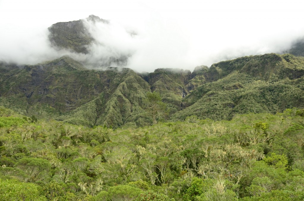 Zdjęcia: Cirque de Cilaos, Cirque de Cilaos, Cilaos, REUNION Zdjęcia: Cirque de Cilaos, Cirque de Cilaos, Cilaos, REUNION