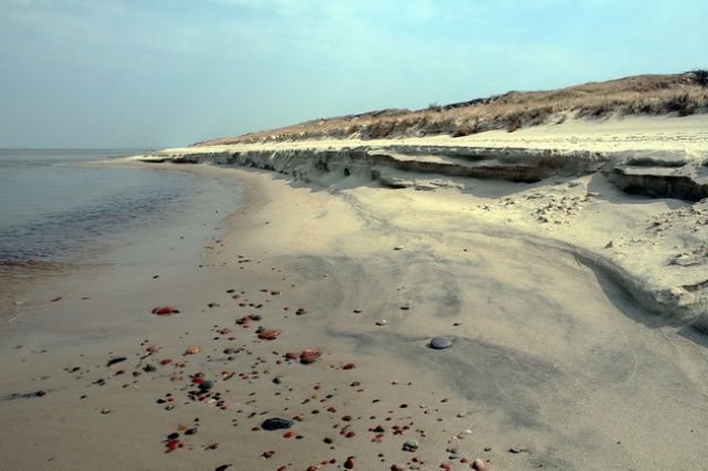 Zdjęcia: Morskoje, Obwód Kaliningradzki, Morskoje, ROSJA Zdjęcia: Morskoje, Obwód Kaliningradzki, Morskoje, ROSJA