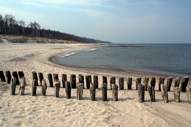 Zdjęcia: Lesnoj, Obwód Kaliningradzki, Puste plaże 4, ROSJA Zdjęcia: Lesnoj, Obwód Kaliningradzki, Puste plaże 4, ROSJA