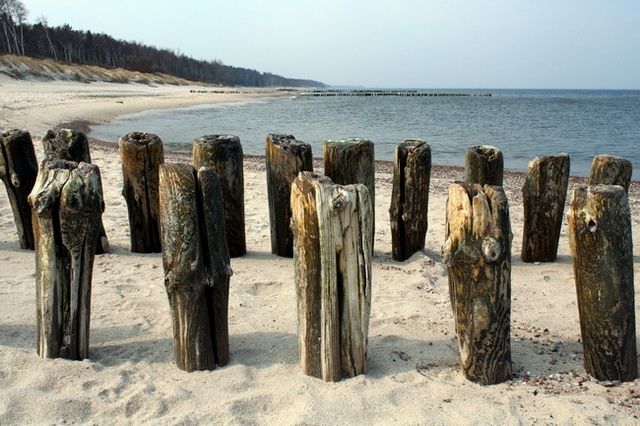 Zdjęcia: Lesnoj, Obwód Kaliningradzki, Puste plaże 5, ROSJA Zdjęcia: Lesnoj, Obwód Kaliningradzki, Puste plaże 5, ROSJA