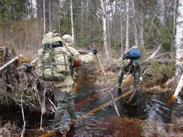 Zdjęcia: na wschód od Północnej Dźwiny, Archangielska Obłość, droga, ROSJA Zdjęcia: na wschód od Północnej Dźwiny, Archangielska Obłość, droga, ROSJA