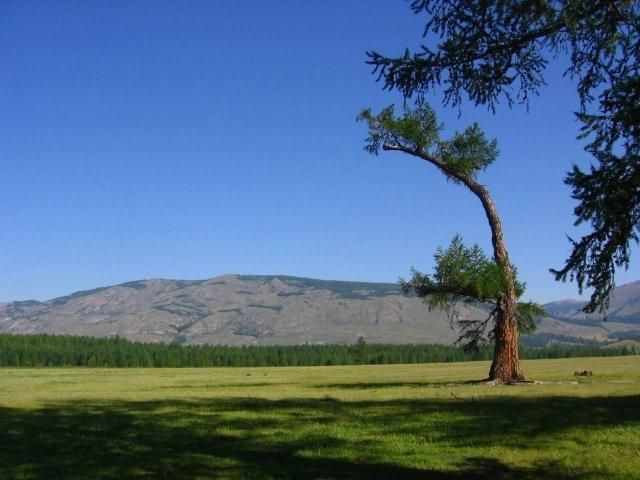 Zdjęcia: okolice jeziora Karahol, Tuwa, drogowskaz, ROSJA Zdjęcia: okolice jeziora Karahol, Tuwa, drogowskaz, ROSJA