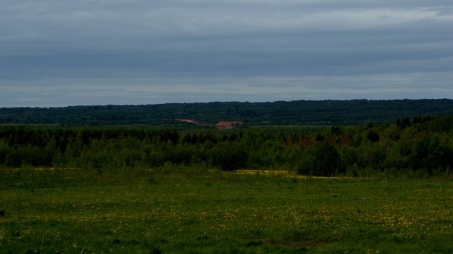 Zdjęcia: w rejonie Ładogi, Archangielsk, czerwcowa wiosna, ROSJA Zdjęcia: w rejonie Ładogi, Archangielsk, czerwcowa wiosna, ROSJA