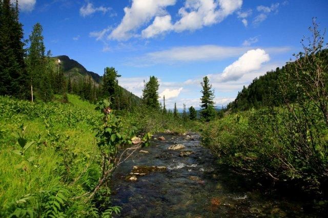 Zdjęcia: 250km od najbliższej wioski, Syberia , Sajany Wschodnie, najsmaczniejsza woda mineralna , ROSJA Zdjęcia: 250km od najbliższej wioski, Syberia , Sajany Wschodnie, najsmaczniejsza woda mineralna , ROSJA