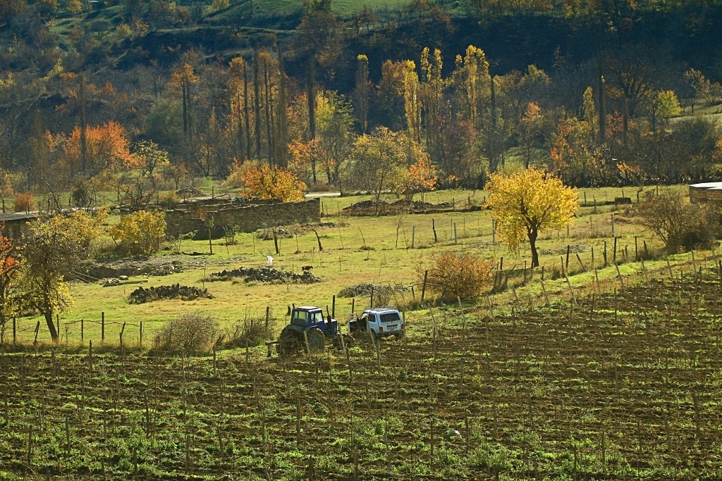 Zdjęcia: w drodze do Derbentu, Dagestan, Koniec zbiorów..., ROSJA Zdjęcia: w drodze do Derbentu, Dagestan, Koniec zbiorów..., ROSJA