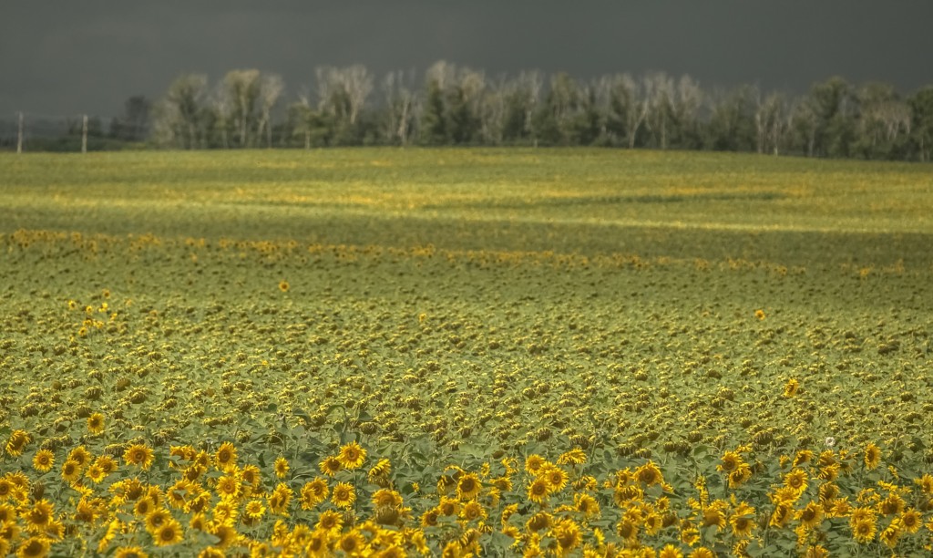 Zdjęcia: wsch. Rosja, wsch. Rosja, Przed burzą..., ROSJA Zdjęcia: wsch. Rosja, wsch. Rosja, Przed burzą..., ROSJA