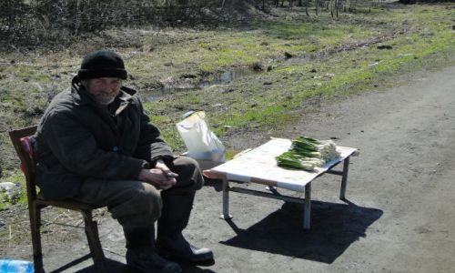 Zdjecie ROSJA / w drodze do Irkucka / 100 km od Irkucka / Smaczna czeremsza....dar tajgi