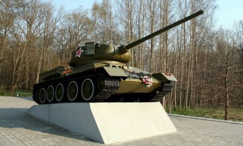 Zdjcie ROSJA / Obwd Kaliningradzki / Jantarnyj / Czog