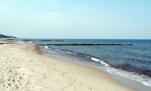 Zdjcie ROSJA / Obwd Kaliningradzki / Lesnoj / Puste plae 1