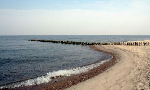 Zdjcie ROSJA / Obwd Kaliningradzki / Lesnoj / Puste plae 2
