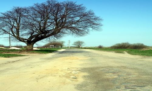 Zdjęcie ROSJA / Obwód Kaliningradzki / Pionierskij / Drożyna