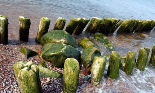 Zdjcie ROSJA / Obwd Kaliningradzki / Lesnoj / Falochrony