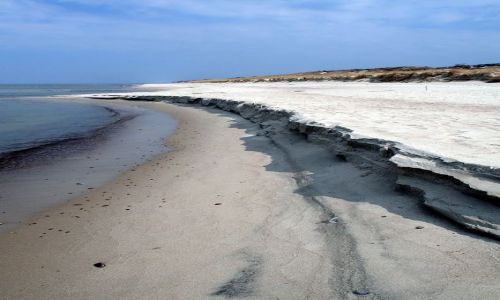 Zdjecie ROSJA / Obwd Kaliningradzki / Morskoje / Brzeg