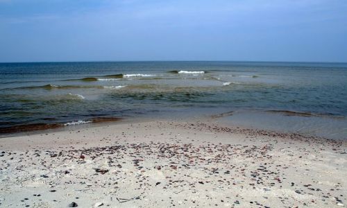 Zdjęcie ROSJA / Obwód Kaliningradzki / Morskoje / Nad morzem