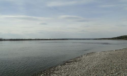 Zdjęcie ROSJA / Rosja / Rzeka Jenisej / Jenisej