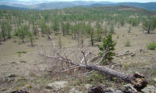 Zdjecie ROSJA / Obwd Irkucki / ok. 200m od brzegu Bajkau / Nad Bajkaem te jest ciepo