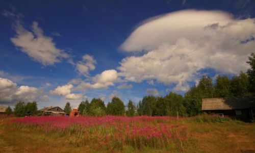 Zdjęcie ROSJA / płn-zach Rosja / nad jeziorem Vyalozoro / Opuszczona wieś...